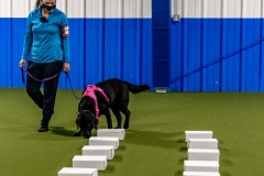 2022-March-Scent-Trial-533