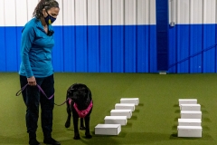 2022-March-Scent-Trial-534