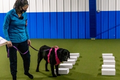 2022-March-Scent-Trial-535