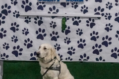 2022-March-Scent-Trial-536