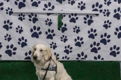 2022-March-Scent-Trial-537