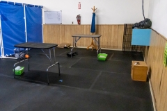 2022-March-Scent-Trial-689