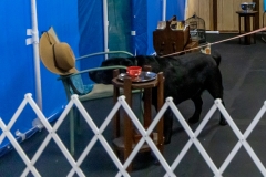 2022-March-Scent-Trial-703