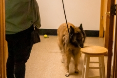 2022-March-Scent-Trial-712-2