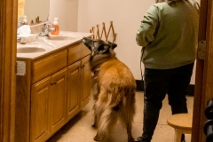 2022-March-Scent-Trial-713