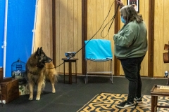 2022-March-Scent-Trial-720
