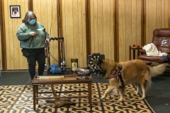 2022-March-Scent-Trial-721