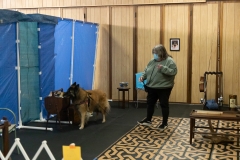 2022-March-Scent-Trial-722