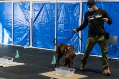 2022-March-Scent-Trial-726