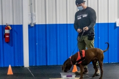 2022-March-Scent-Trial-730