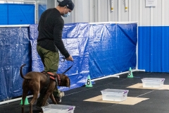 2022-March-Scent-Trial-734