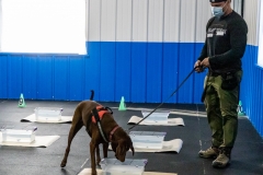 2022-March-Scent-Trial-736