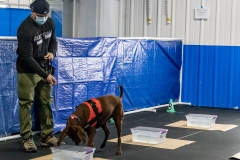2022-March-Scent-Trial-739