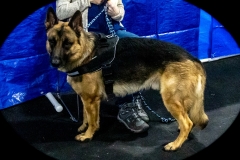 2022-March-Scent-Trial-742