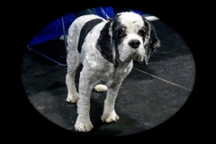 2022-March-Scent-Trial-745