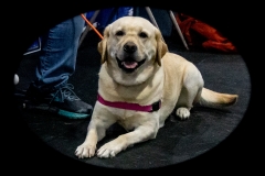 2022-March-Scent-Trial-749