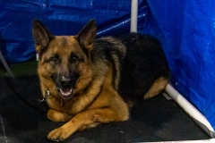 2022-March-Scent-Trial-751