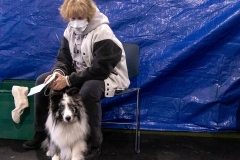 2022-March-Scent-Trial-753