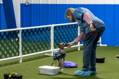 2022-March-Scent-Trial-758