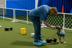 2022-March-Scent-Trial-761