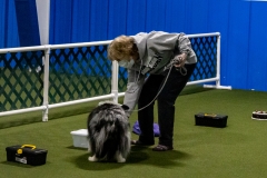 2022-March-Scent-Trial-772