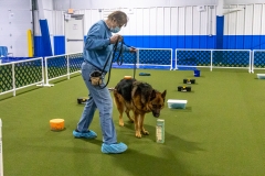 2022-March-Scent-Trial-787