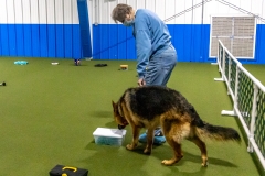 2022-March-Scent-Trial-789