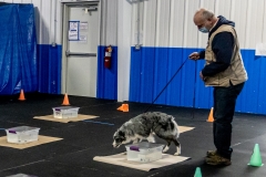 2022-March-Scent-Trial-799