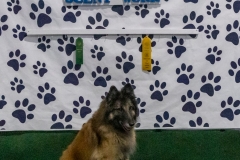 2022-March-Scent-Trial-814