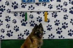 2022-March-Scent-Trial-816