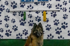 2022-March-Scent-Trial-819