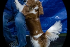 2022-March-Scent-Trial-825