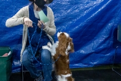 2022-March-Scent-Trial-826