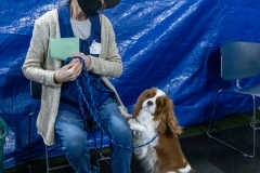 2022-March-Scent-Trial-827