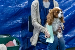 2022-March-Scent-Trial-829