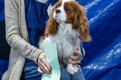 2022-March-Scent-Trial-830