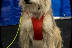 2022-March-Scent-Trial-832