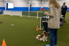 2022-March-Scent-Trial-834