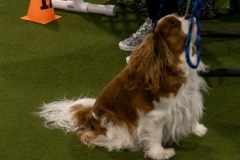 2022-March-Scent-Trial-835