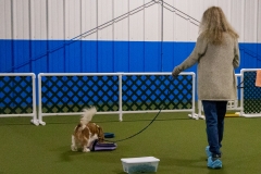 2022-March-Scent-Trial-836