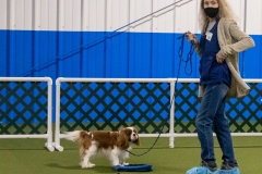 2022-March-Scent-Trial-837