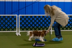 2022-March-Scent-Trial-838