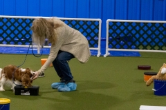 2022-March-Scent-Trial-841