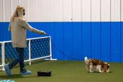 2022-March-Scent-Trial-842