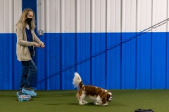 2022-March-Scent-Trial-845