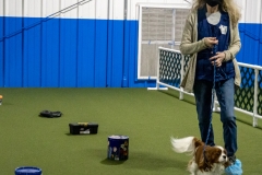 2022-March-Scent-Trial-849