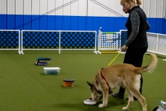 2022-March-Scent-Trial-853