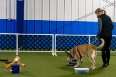 2022-March-Scent-Trial-854