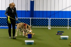 2022-March-Scent-Trial-856