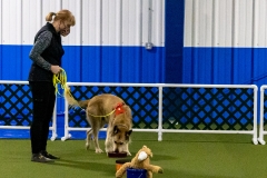 2022-March-Scent-Trial-859